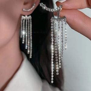 Silver Party Tassel Earrings